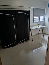 Blk 256 Kebun Baru View (Ang Mo Kio), HDB 4 Rooms #573591971